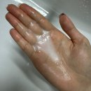 올리브영 세일 헤어케어 탈모샴푸 추천 라보에이치 샴푸 3년째 쓰고 있는 내돈내산 후기