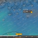 (기상악화)....6월2일 고흥.붉바리낚시(주간)한치 이카메탈(야간) 병행무박2일 일정 이미지