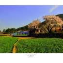 서창선초등학교 이미지