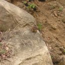 행복팬션 이미지