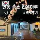 협신호텔 | 여행 숙소 - 에어비앤비 예약 ‘라온하루’ 장단점 후기 / 애견동반, 바베큐, 야외스파 자쿠지, 노래방...
