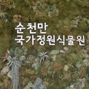 이수종합건축사사무소 - 평택시 중앙2로 13 | 이수종합건축사사무소