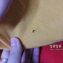가위든남자 이미지