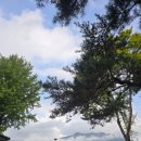 리버빌 | 🍂 포천 리버빌캠핑장 가을 캠핑 후기 아케디아맥스플러스와 함께한 힐링 캠핑