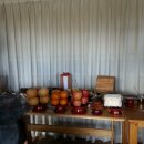 서천 청덕사 이미지