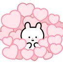 내품안의반려견 - 은평구 연서로27길 14 | 내품안의반려견