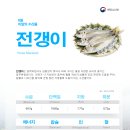 💬해수부·해경청,폐어구발생예방합동점검💬해수부,항만사업장71개소안전장비및시설설치지원💬여름휴가철앞...