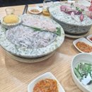 황금손 유쾌한 회 세꼬시 | [동탄역 회식 추천] 맛은 보장하지만 지갑은 조심! '유쾌한회세꼬시 동탄역점' 대방어 &amp; 세꼬시 솔직 후기