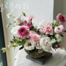 스펠로플라워