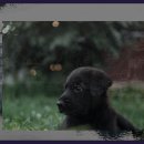 방동관광지 이미지