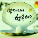 좋은사람들 이미지