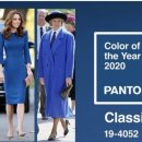 비비헤어비스 이미지