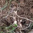 달래농장 이미지