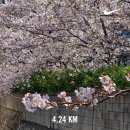 슈프림복싱 | 공연과 공연과 공연의 달