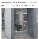 퇴근집 이미지