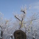 낙동정맥 제2구간 백병산(白屛山 1,259.3m) 이미지