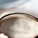 핑크토끼 이미지