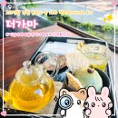 아름cafe | 기장 더가마 고즈넉한 정원 분위기 속 젤라또 티세트 데이트 후기 부산 카페 맛집 티카페 송정