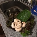 고기 여너 이미지