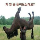 칭구 Daum카페