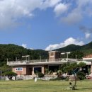 안평로 | 부산 기장 애견카페 추천! 일로우(1RAW) 잔디 운동장 완전 대박