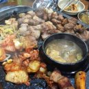 회기11 이미지