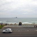 제주사계 이미지