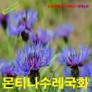 씨앗 이미지