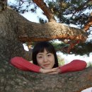 도봉-도봉-2041 이미지