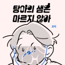 코익 이미지