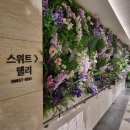 신세계백화점 타임스퀘어 팝업 / 리틀캘리커피 / 5성급호텔커피 / 그라인딩꿀팁