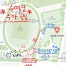 스페셜스포츠센터 | [공지] [성남종합스포츠센터] 수영강습 '고급반' 5개월 다닌 후기
