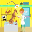 마린동물병원 이미지