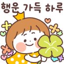 빅토리태권도 이미지