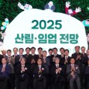 산림임업