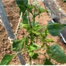 농업기술센터 안 이미지