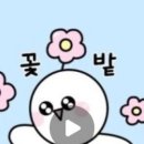 단월620 이미지
