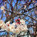 부산은행 감전동지점 이미지