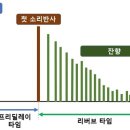 딜레이 이미지
