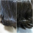 테리뉴트리 | 엘라스틴 바이오테라피 뉴트리케어(샴푸/컨디셔너/세럼) 후기 ● (푸석푸석윤기없는 헤어용)