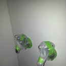 대성바이오환경 이미지