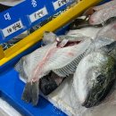 담도시락 강서점 | 강서수산시장 회 센터 후기 | 신안섬마을 대방어 가포수산 킹크랩 찜