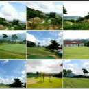 민골프클럽 이미지