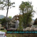 청풍미가 이미지