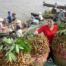 베트남 요식업 브랜드의 흥망성쇠 이미지