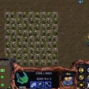 스테이시스필드 이미지