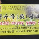 시랑운동장 이미지