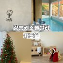 GS25경포호수점 | 강릉키즈풀빌라 추천 • 4세 6세 아이들과 함께 다녀온 자근숩 열매동