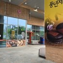 풍년제과cafe 이미지