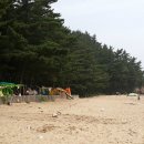 꾸지나무골해수욕장 이미지